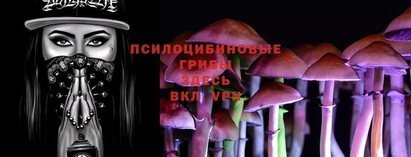 мдпв Нефтекумск