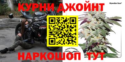 гашик Заволжье