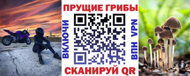 Псилоцибиновые грибы прущие грибы  Южно-Сахалинск 