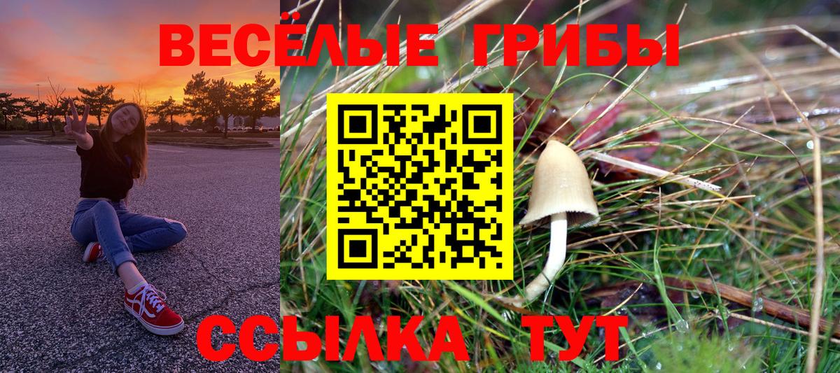 Галлюциногенные грибы Psilocybe Южно-Сахалинск